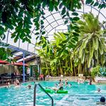 Indian Hot Springs