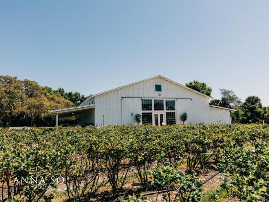 The Wedding Website of Michelle Raven and Daniel De Luca