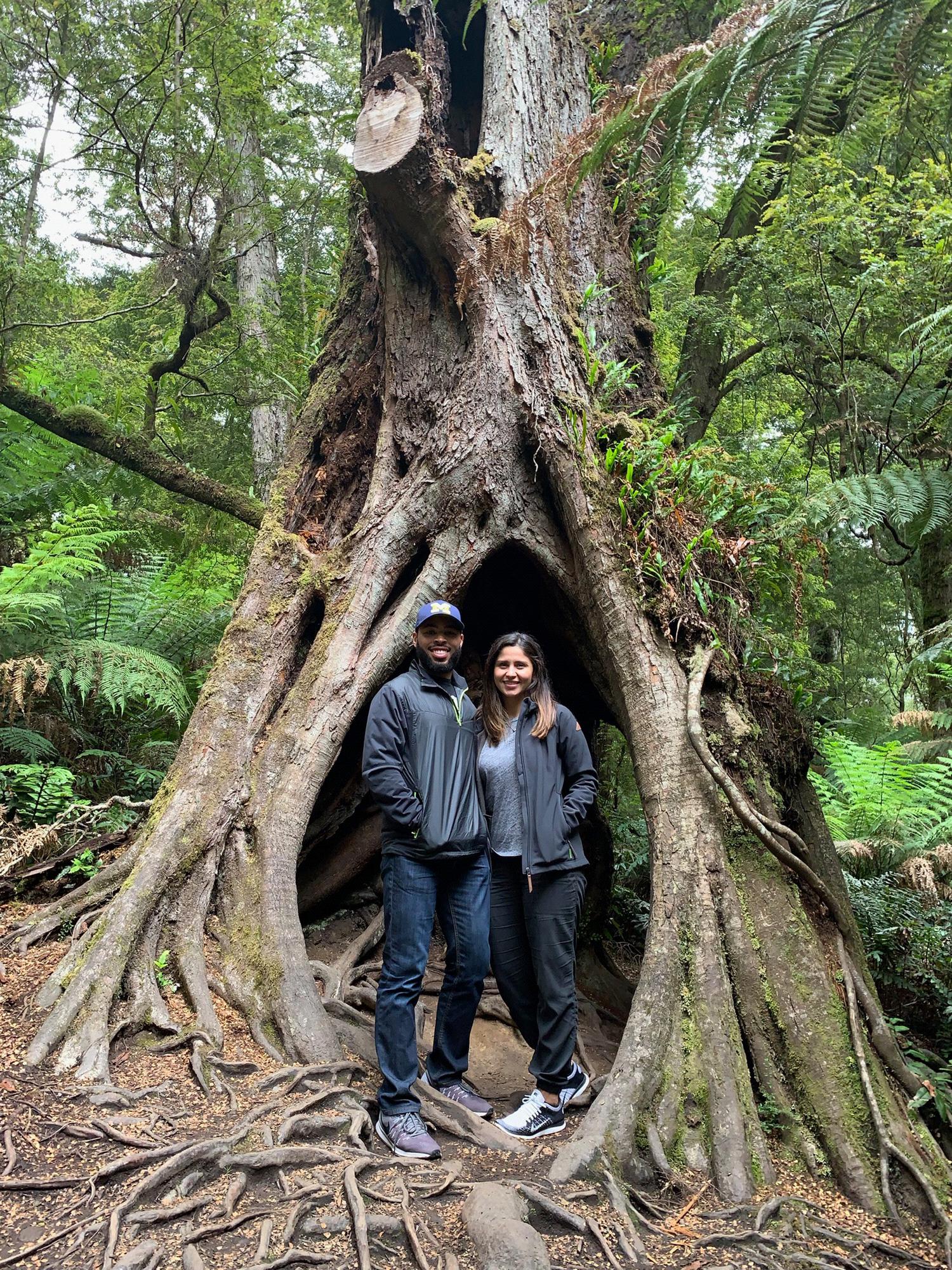 Great Otway National Park, Australia
November 2018