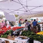 Vero Beach Farmer's Market