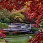 Nishinomiya Tsutakawa Japanese Garden
