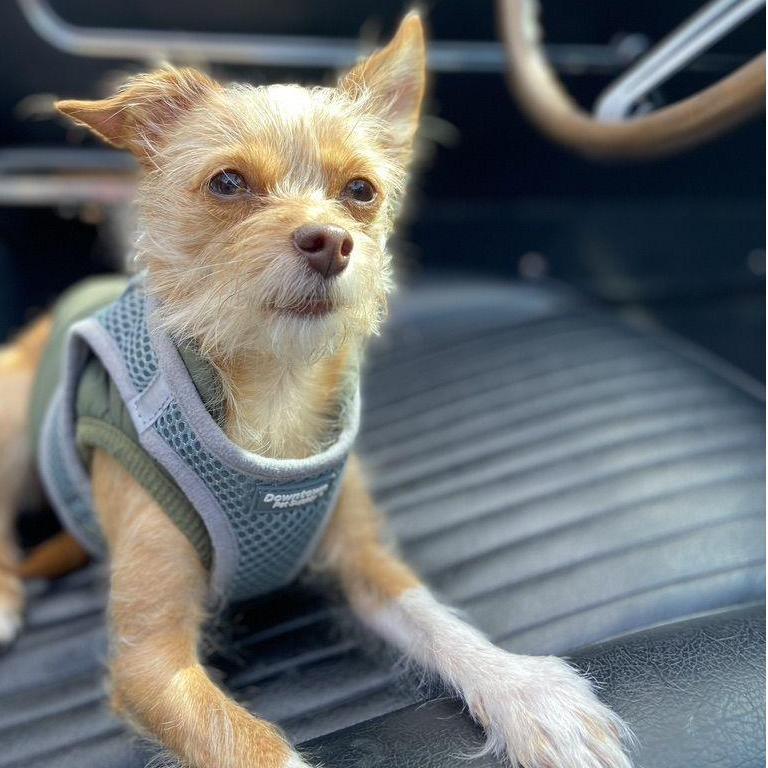 handsome boy