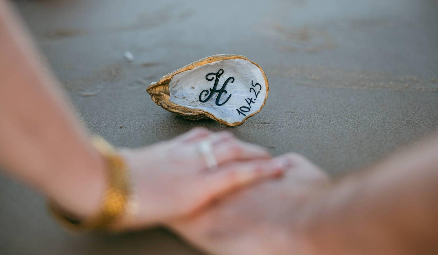 Rachel Rothermel and Carl Holgerson's Wedding Website