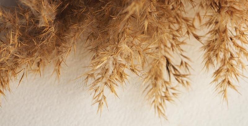 The Wedding Website of Gabriela Razo and Erick Nunez