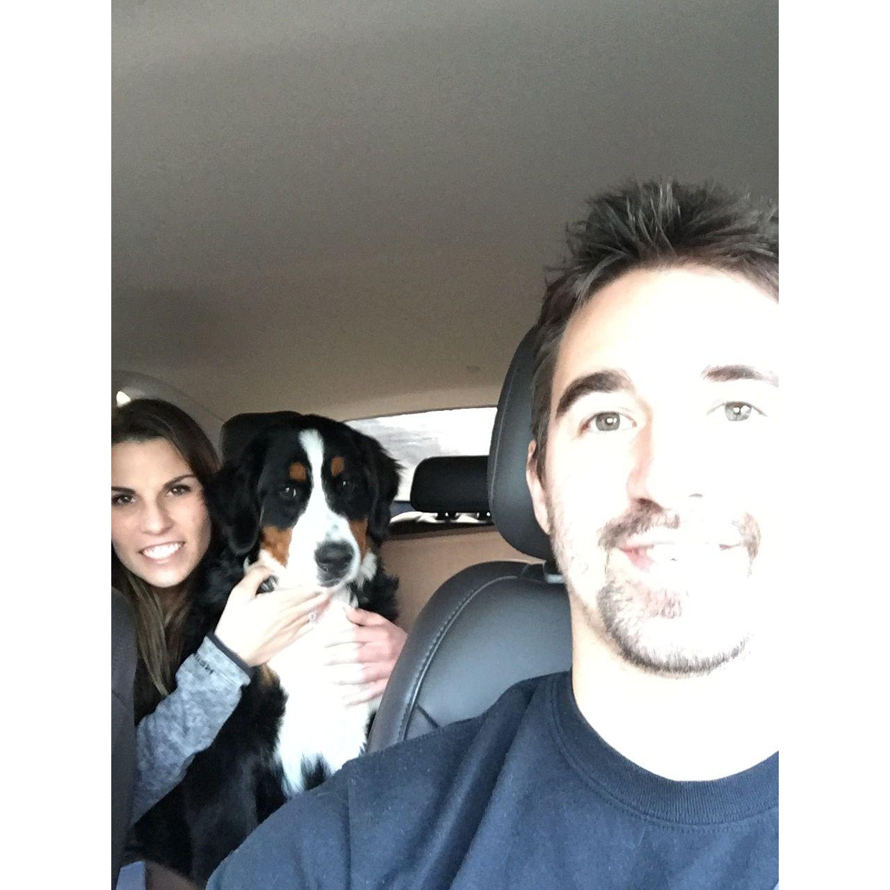 The day we brought Bella home!