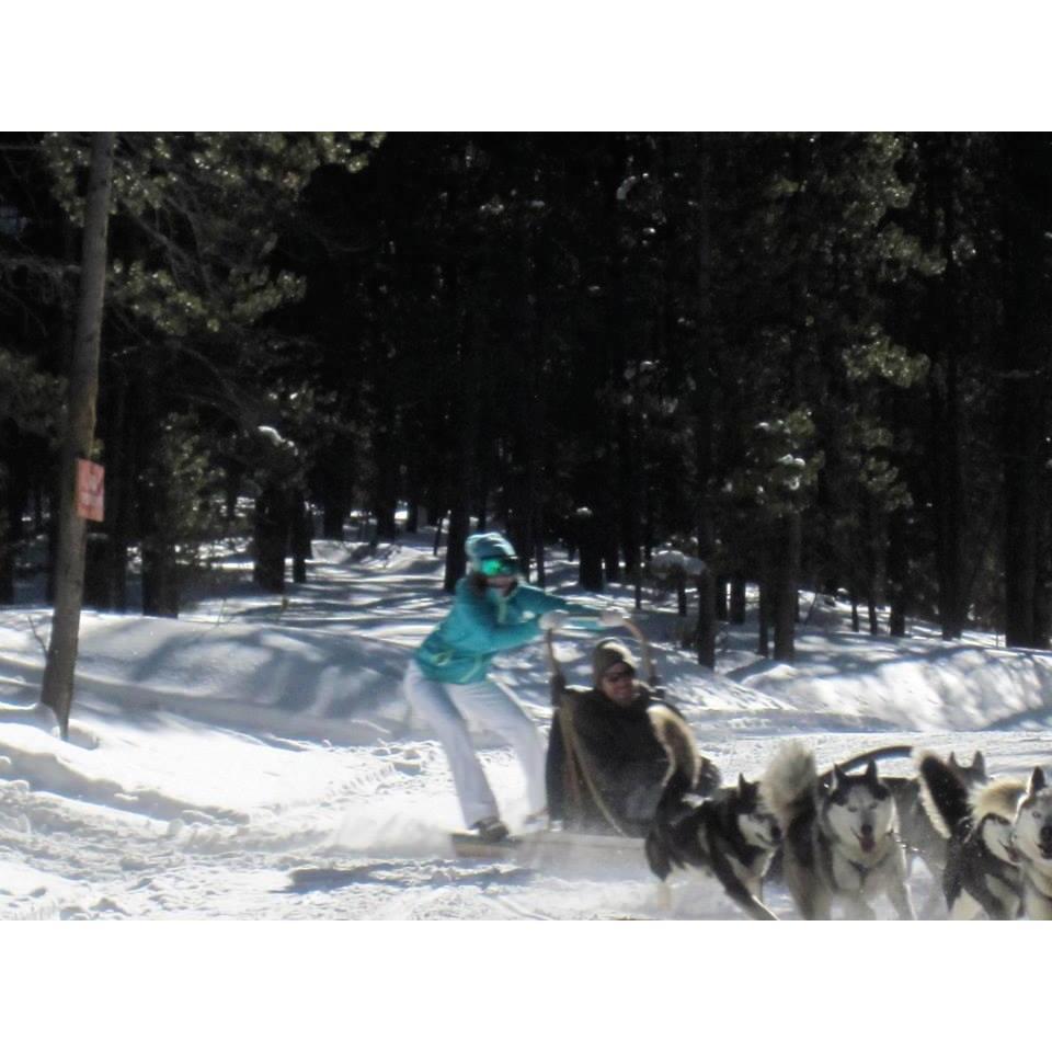 Dogsledding in Breck!