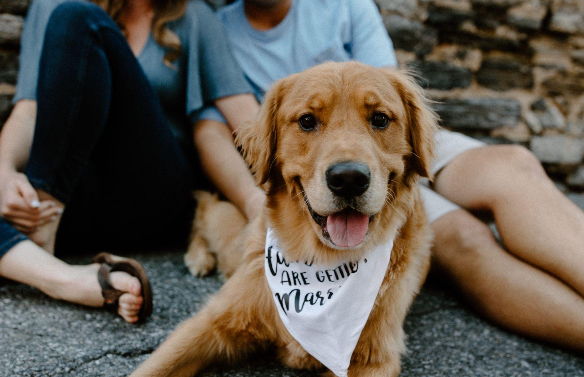 The Wedding Website of Joel Kenney and Eve Lukowski