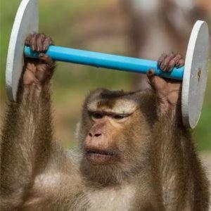 6 meses de academia pro noivo