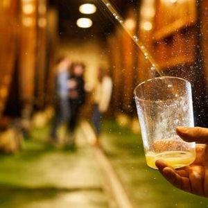 Cider House Tour in San Sebastian