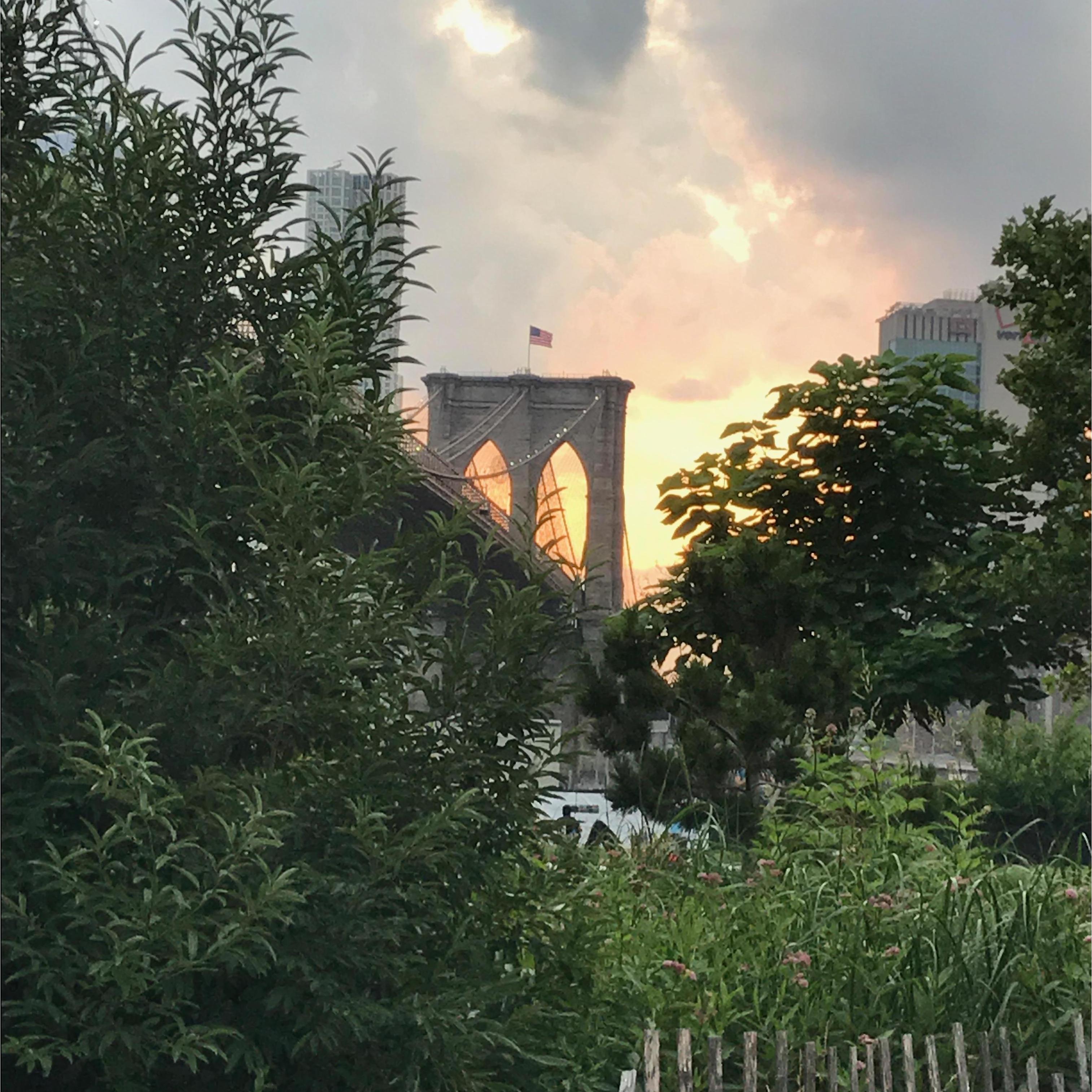 The Brooklyn Bridge
Just outside Julia's workplace, Dumbo, NY