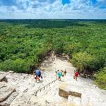 Cobá
