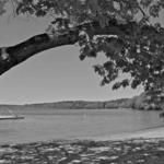 Bantam Lake