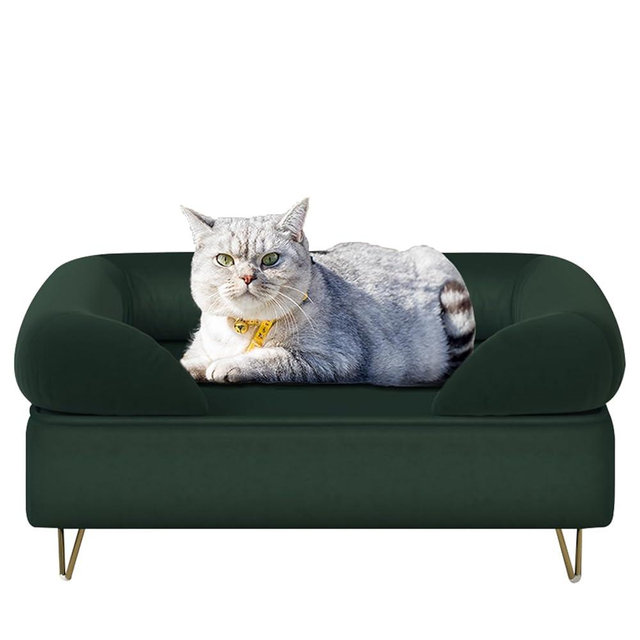 Yoonnie room Dog Sofas and Chairs for Small Breeds,Dog Couch for Small Pet,Cat Sofa Chair with Soft Velvet Fabric,Wooden Frame Cat Bed,Pet Sofa Bed for Small Dog Rest Using,Emerald