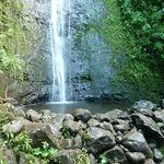 Manoa Falls