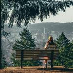 activity - mount tabor