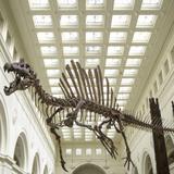 Field Museum