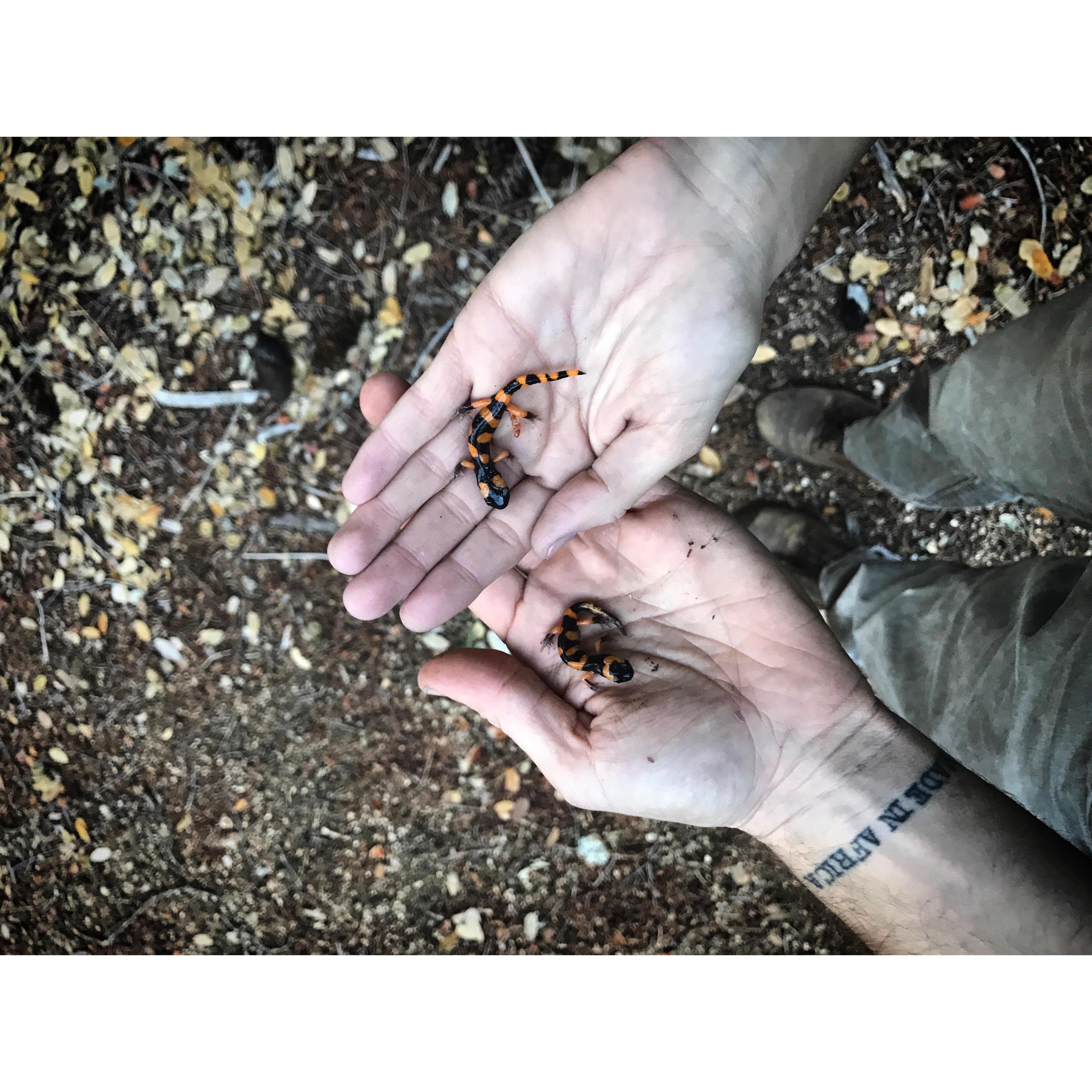 one  in each of our hands