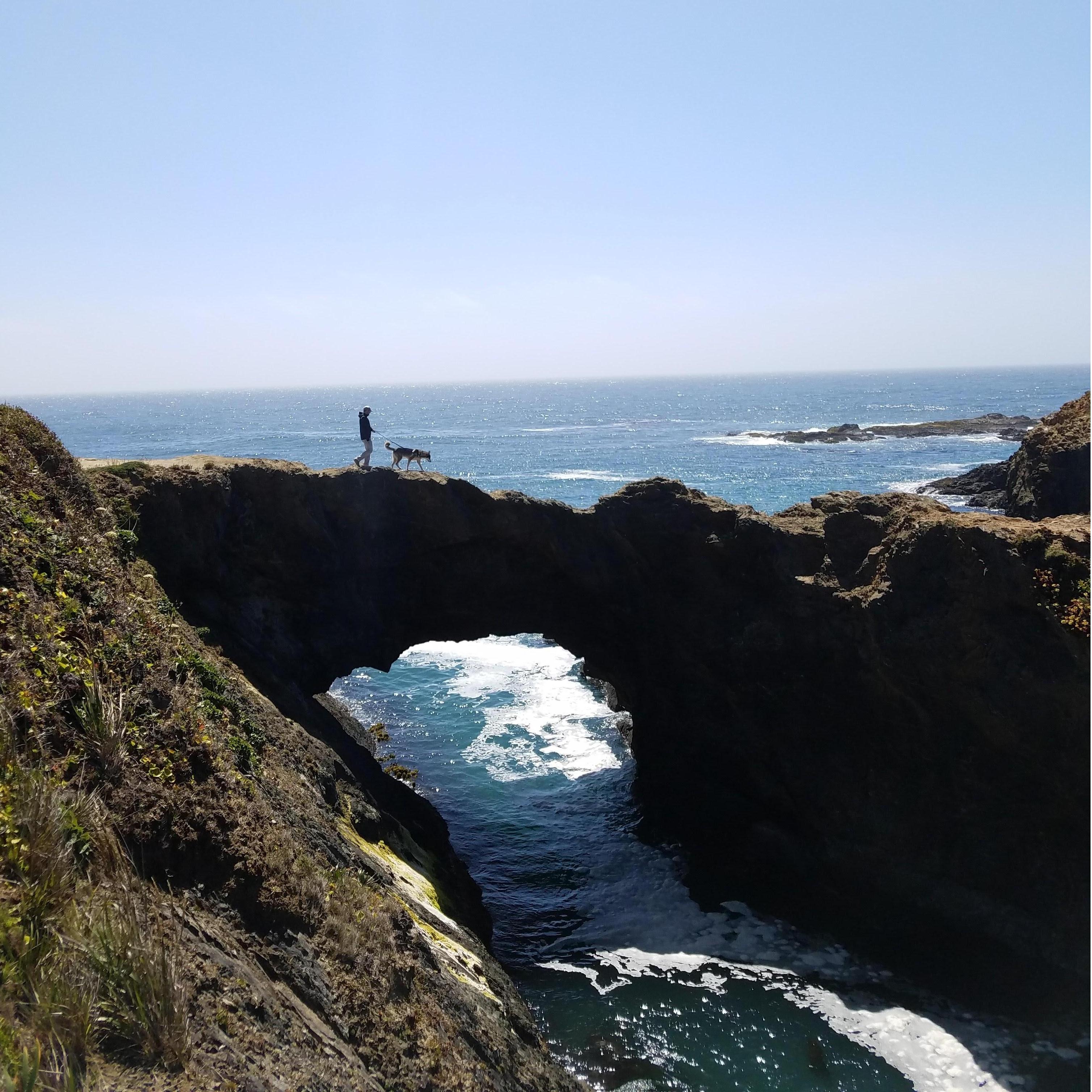 Shared: Masi's first trip to the ocean.
Location: Mendocino, CA. Go there.