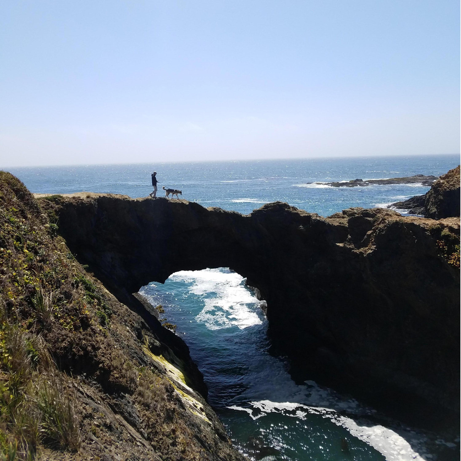 Shared: Masi's first trip to the ocean.
Location: Mendocino, CA. Go there.