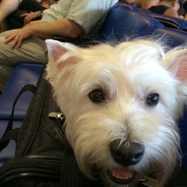 Mia is a world class traveler....well to Prospect Park, NJ!