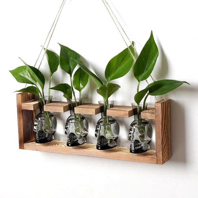 Plant Propagation Stations Halloween Skull Plant Terrarium Kit Glass Vases Gift for Father Air Planter Home Office Decor