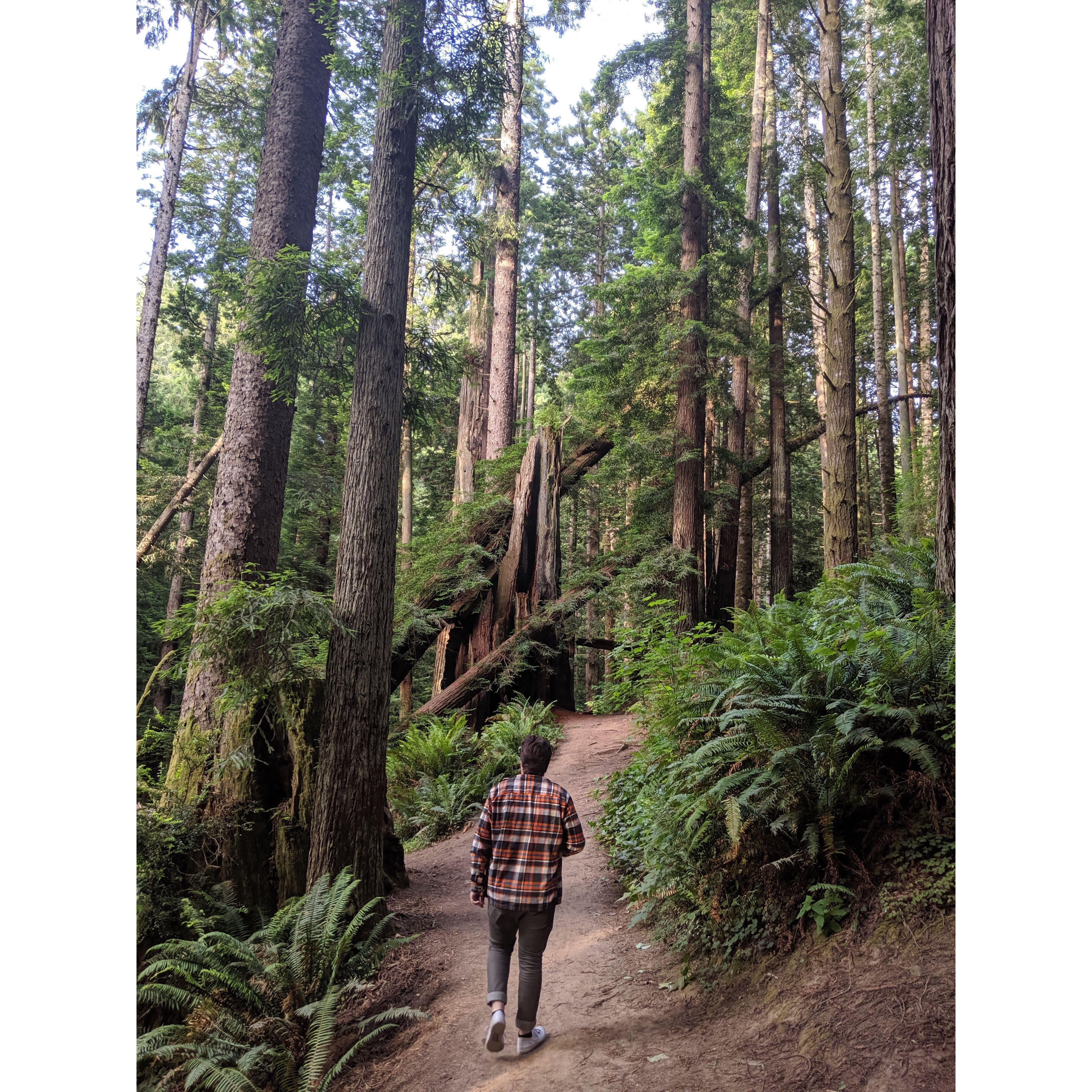 July 2019- Jackie took Bryan to Humboldt so he could experience the weird town she spent 4 years in for college, along with all of the beautiful nature and tasty food it has to offer!