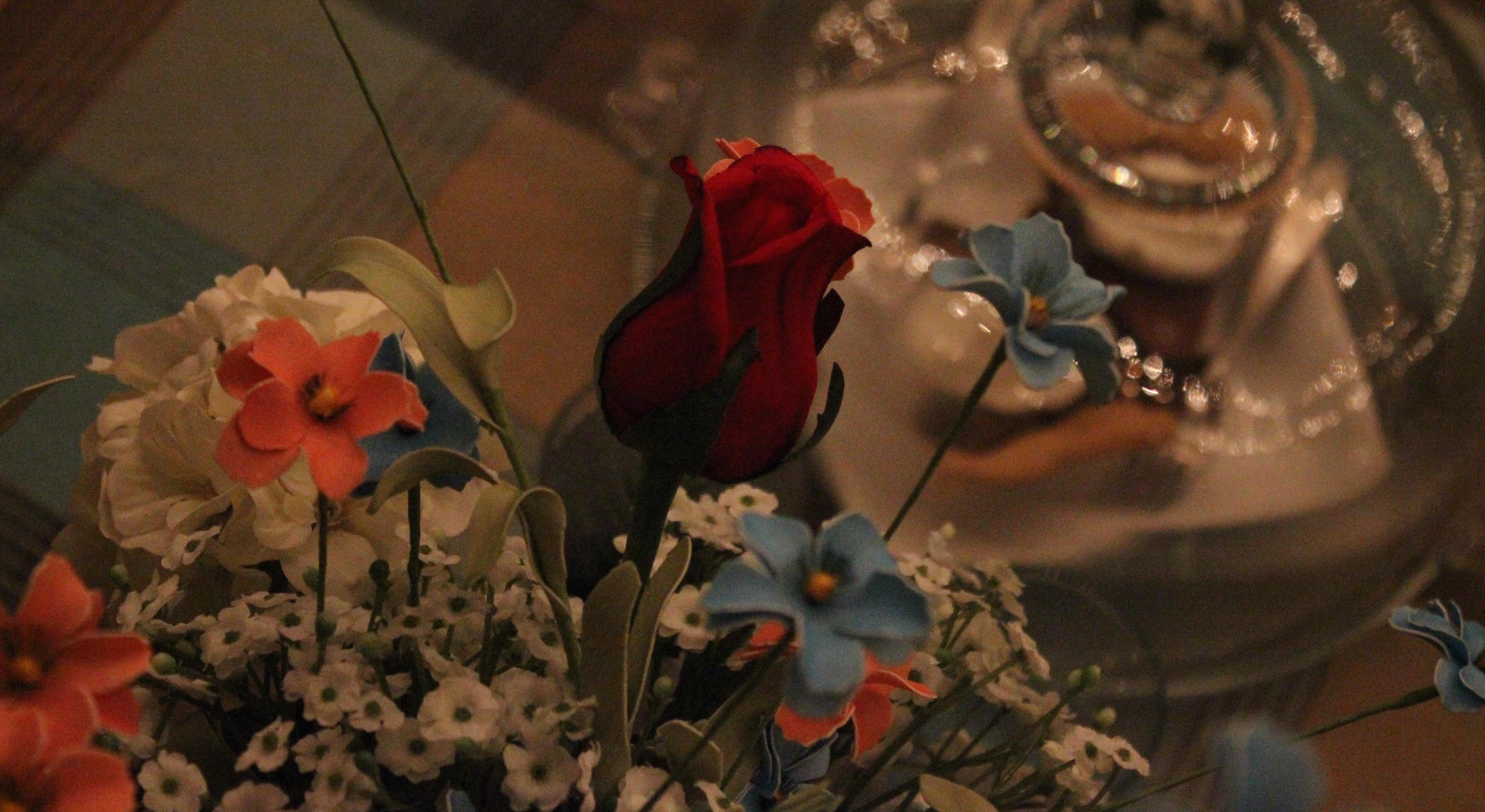 Footer image