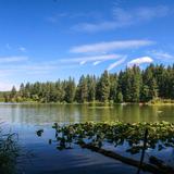 Lacamas Lake