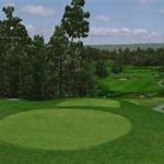 Forest Hills Golf Course