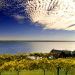 Cayuga Lake Wine Trail