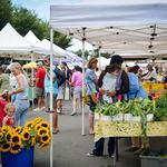 Napa Farmers Market