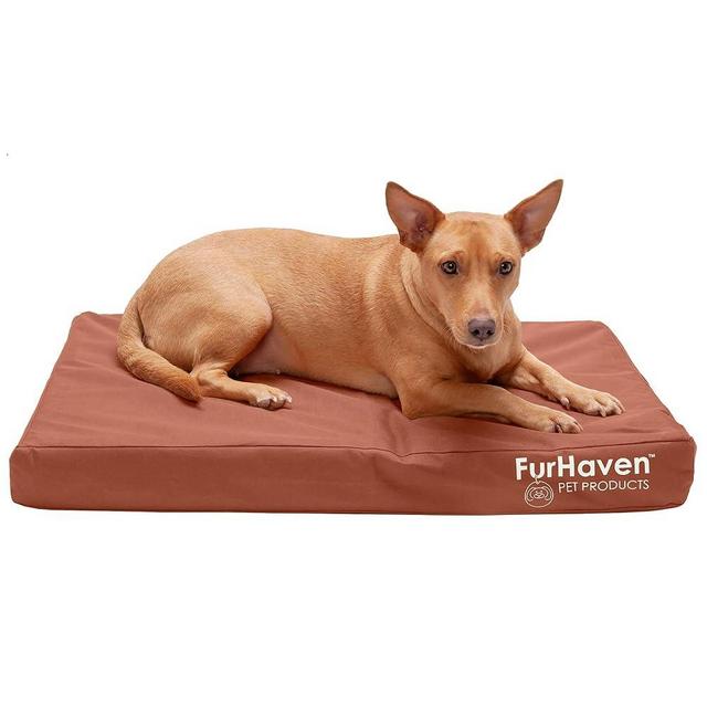 Furhaven Water-Resistant Orthopedic Dog Bed for Medium/Small Dogs w/ Removable Washable Cover, For Dogs Up to 35 lbs - Indoor/Outdoor Logo Print Oxford Polycanvas Mattress - Chestnut, Medium