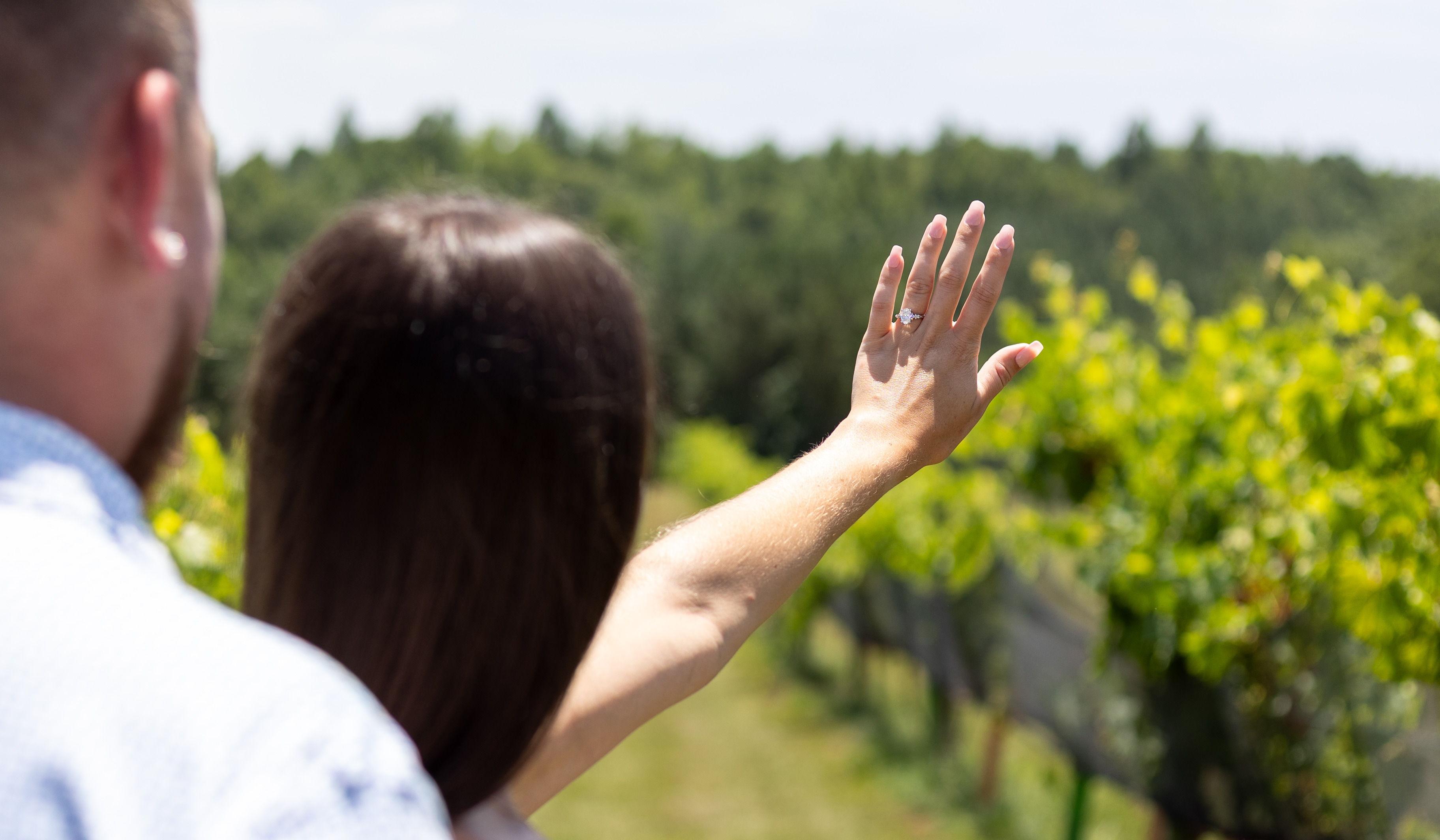 Hero Slideshow Image 3