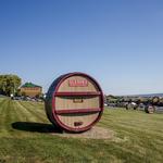 Glenora Wine Cellars