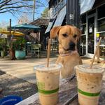The Giddy Goat Coffee Roasters