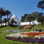 Golden Gate Park
