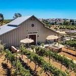 Cuda Ridge Wines