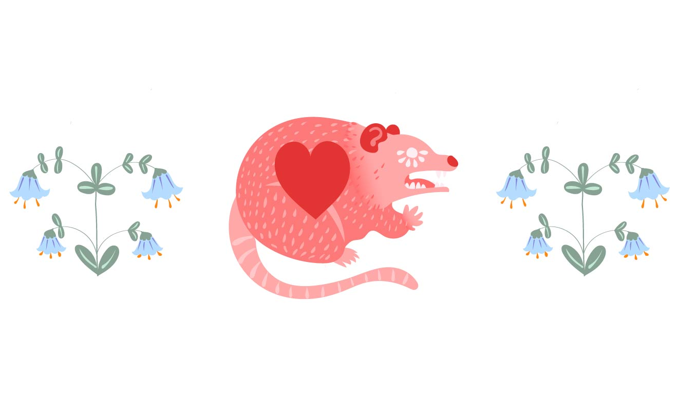 Footer image