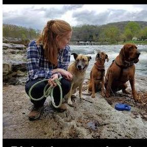 Took the muts to the river,
Picked up a pair of strays on the way!