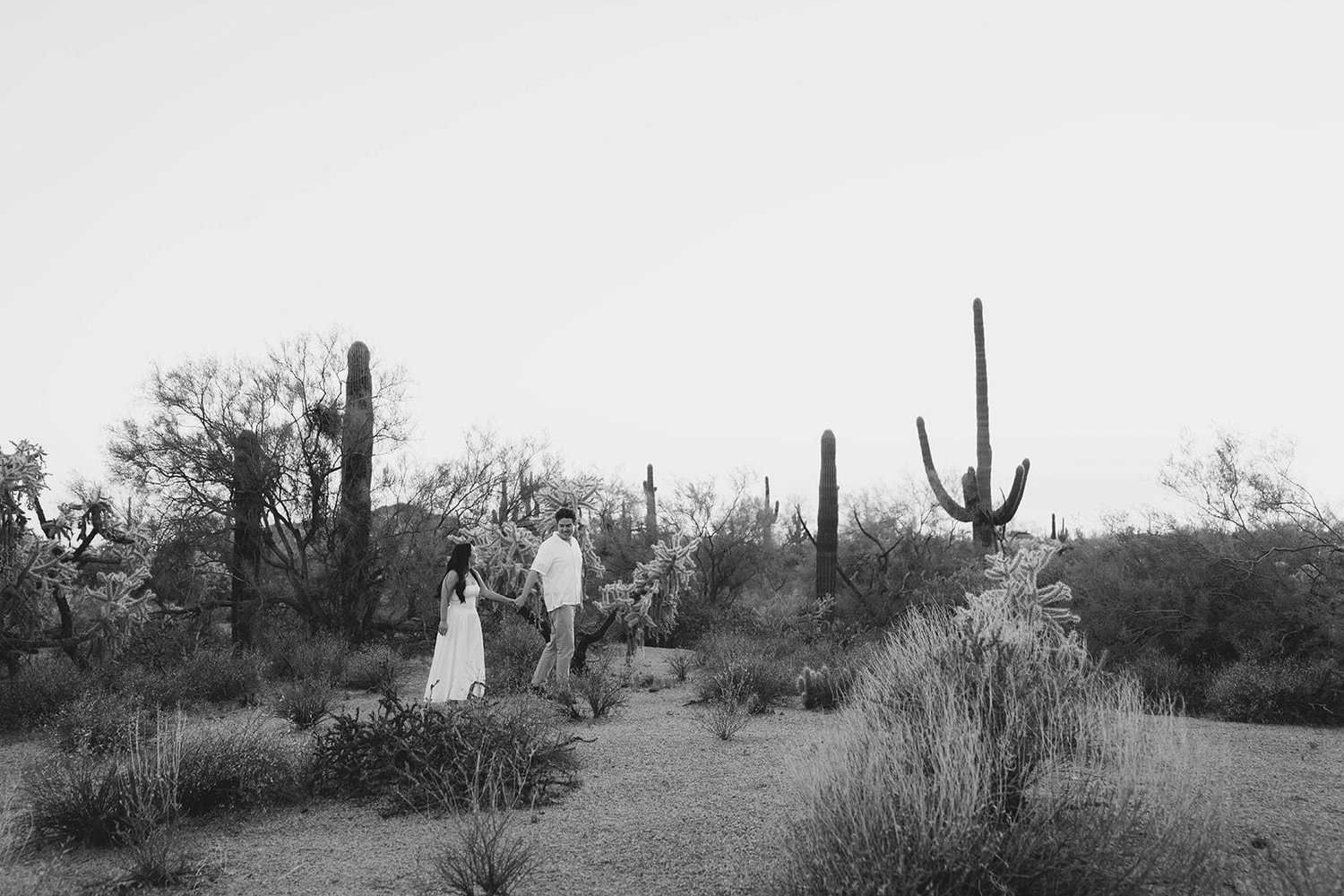 The Wedding Website of Regan Suntari McCabe and Donald Kingsland Savaiano