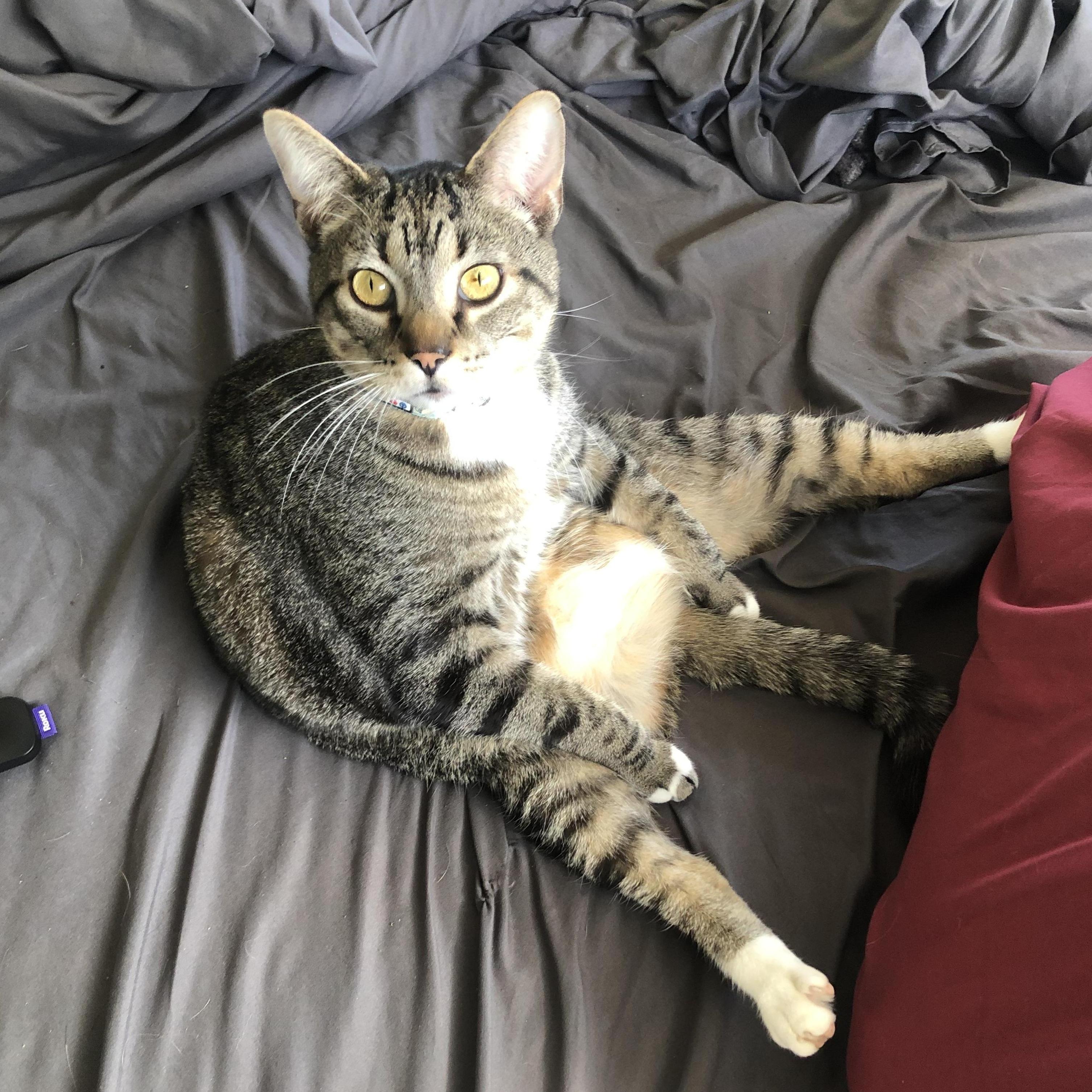 Ralph Being...Ralph