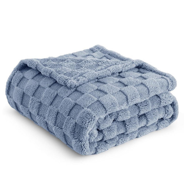 Bedsure Blue Fleece Blanket for Couch - Super Soft Cozy Twin Blankets for Women, Cute Small Blanket for Girls, 60x80 Inches