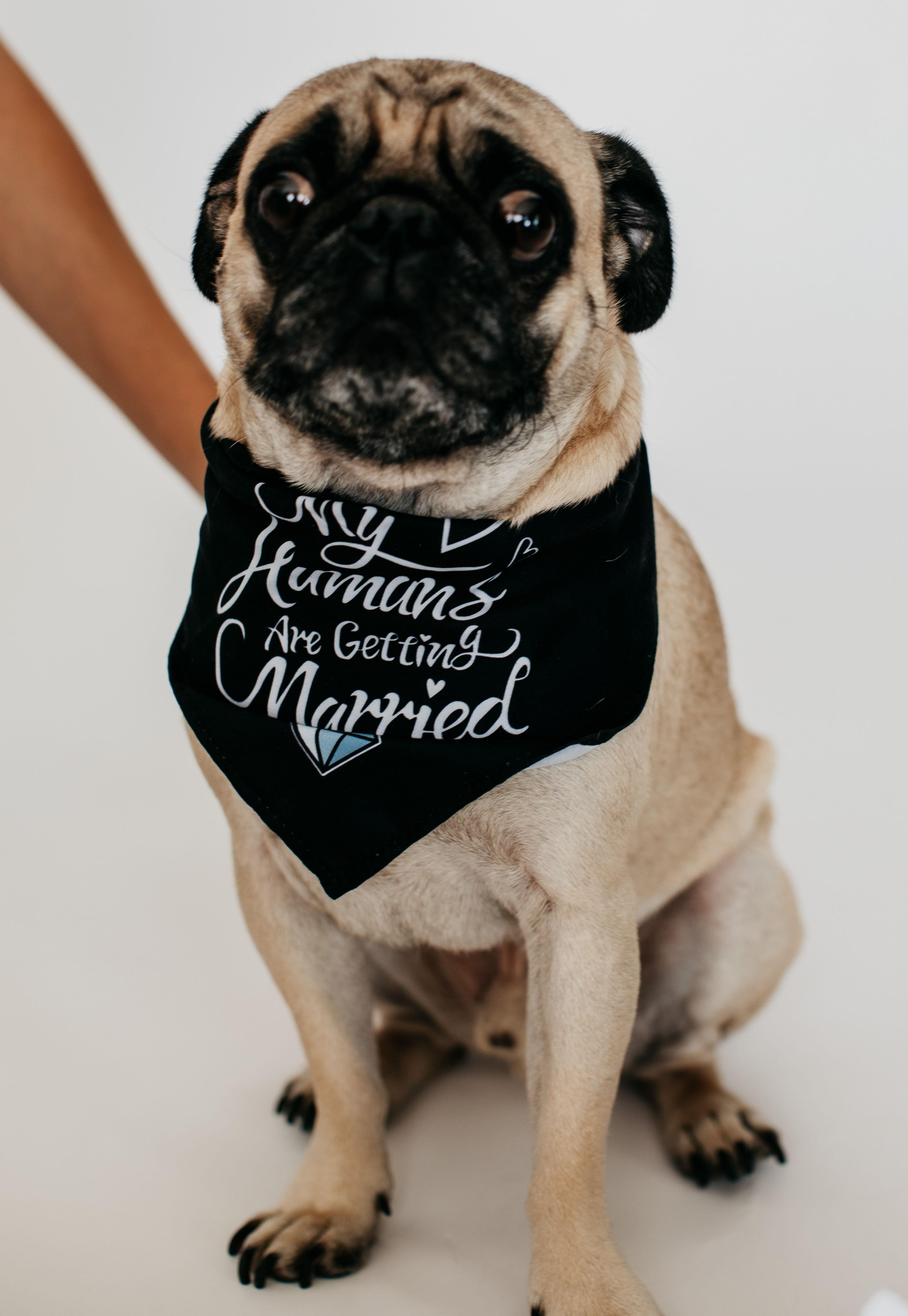 The Wedding Website of Claire Perales-Duckworth and Gabriel Becerra