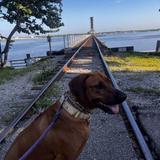 Bradenton Riverwalk