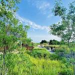 Eco-Trail & Gardens Stroll