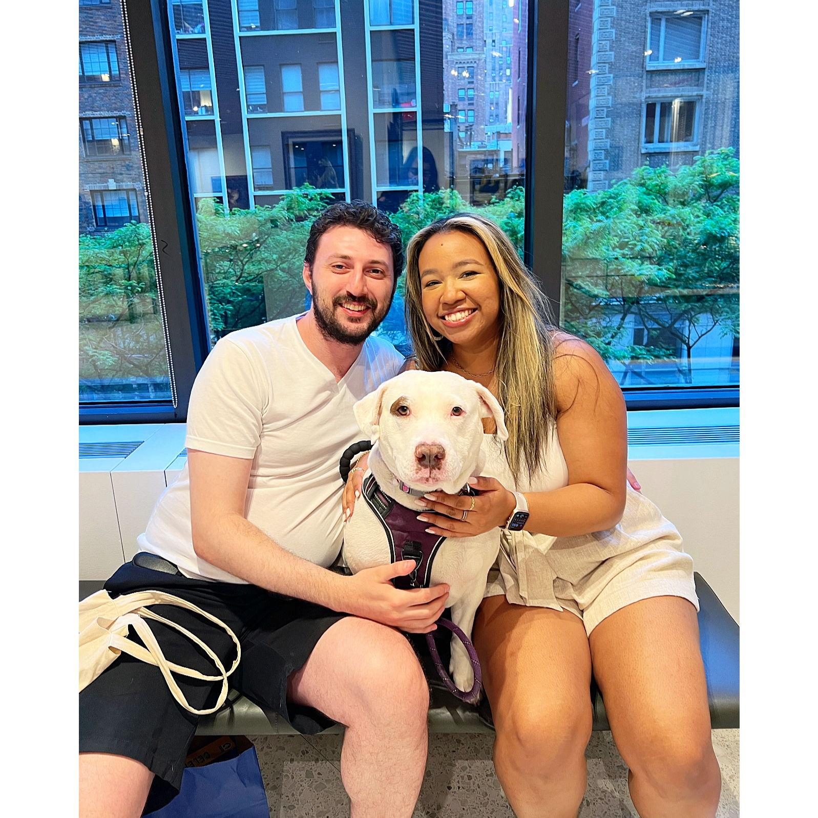 @ The AKC Museum of the Dog in NYC