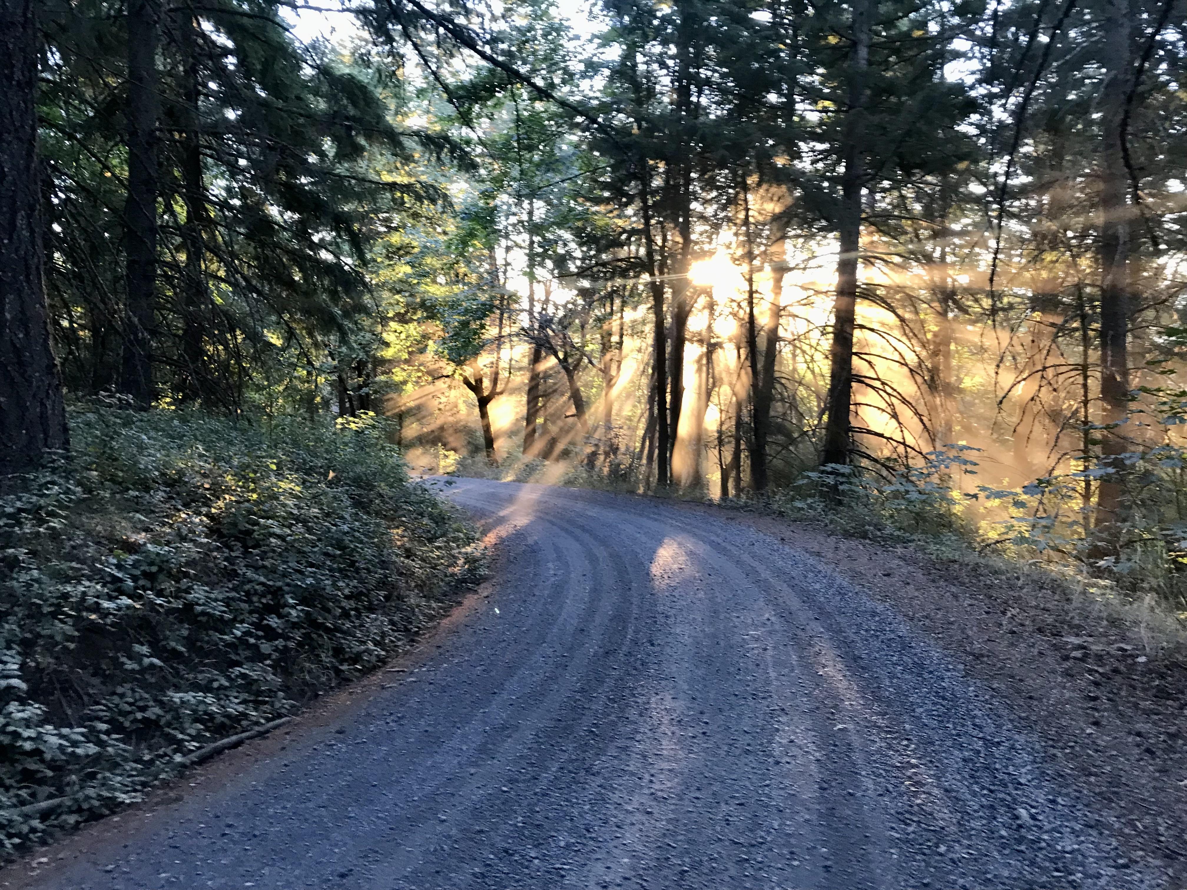 The Wedding Website of Rocco Bocchicchio and Emily Simon