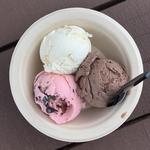 Dewster's Homemade Ice Cream