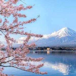Japan Honeymoon Fund