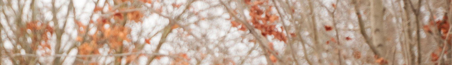 The Wedding Website of Gabriel Martinez and Mariana Peña